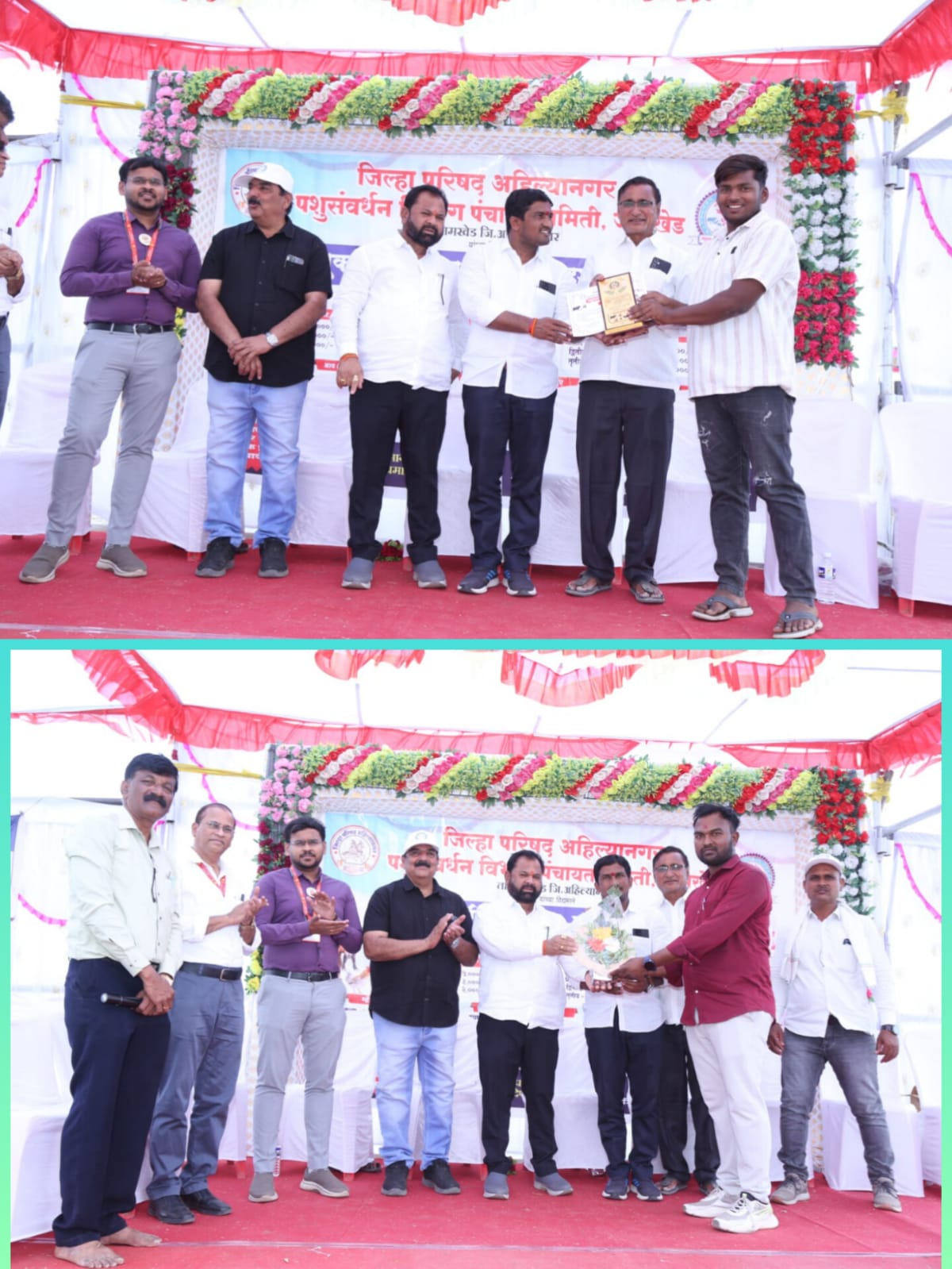 जामखेड पशुपक्षी प्रदर्शन 2026 मध्ये शेतकरी व पशुपालकांचा मोठा सहभाग